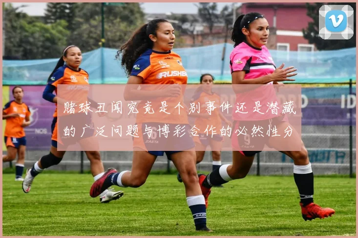 赌球丑闻究竟是个别事件还是潜藏的广泛问题与博彩合作的必然性分析