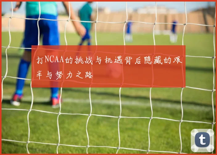 打NCAA的挑战与机遇背后隐藏的艰辛与努力之路