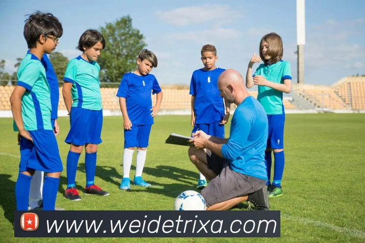 韦德体育APP 封面图